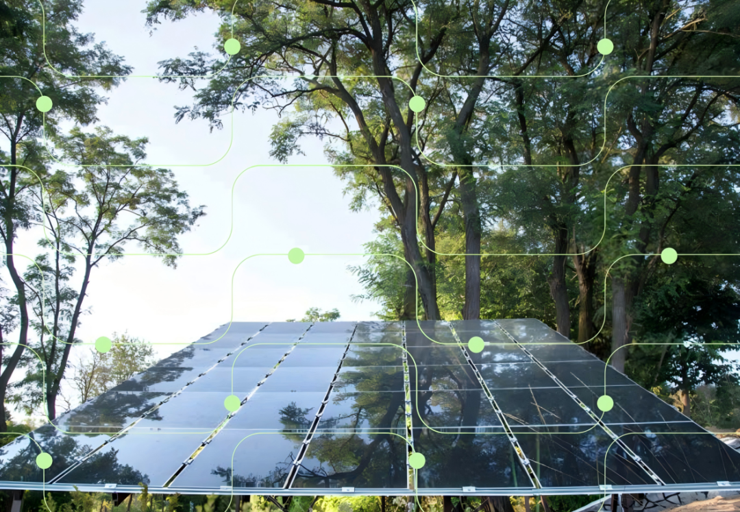 光伏出?！∶乐薰夥袌觥⒄吆鸵?guī)劃