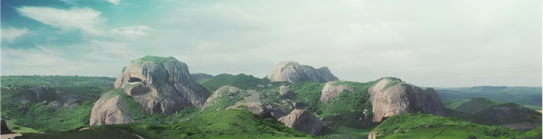 光伏出?！∶乐薰夥袌?、政策和規(guī)劃